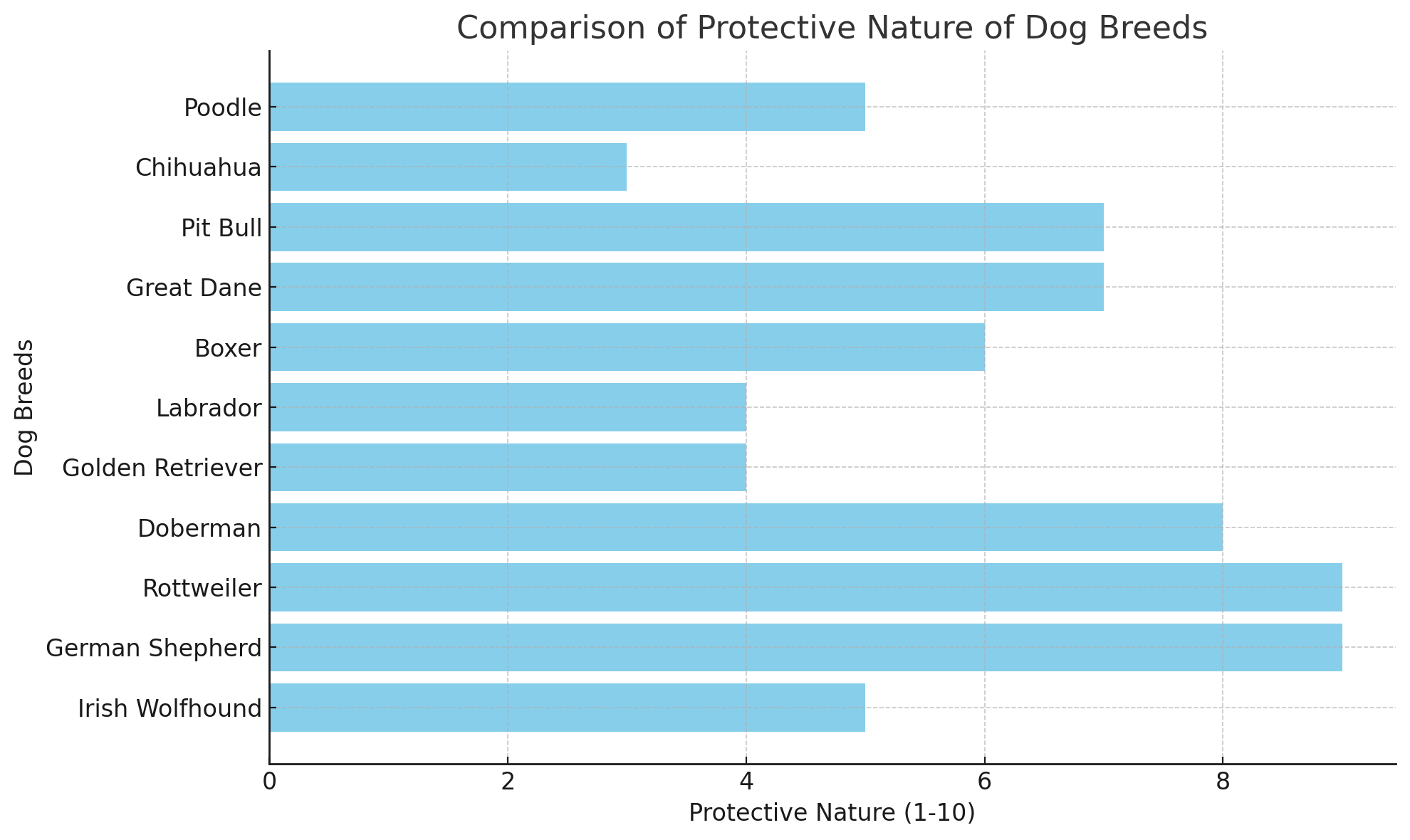 Protective Nature Comparison of Dog Breeds